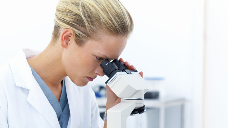 Viderer voluptatum te eum