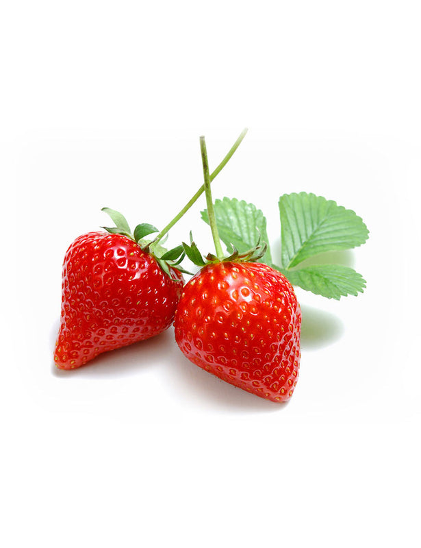 neque porro quisquam